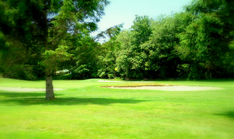 Hole 3 – rear view of green, slopes down to front right side of green.
